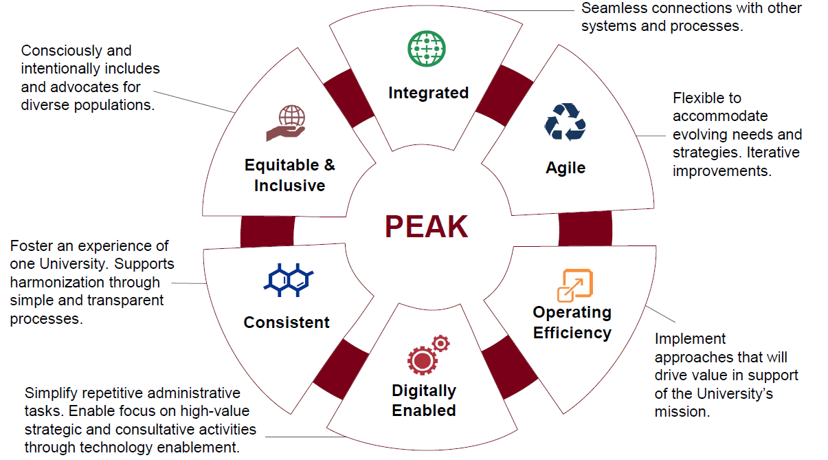 Chart/diagram of the principles of the PEAK Initiative
