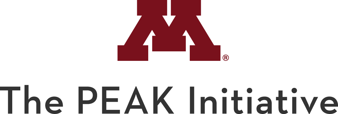 The PEAK Initiative Wordmark 